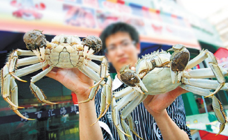 秋风起，蟹儿肥！珠海新东方烹饪老师教你如何选螃蟹